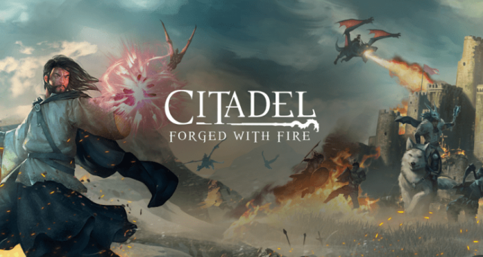 Citadel lanzamiento