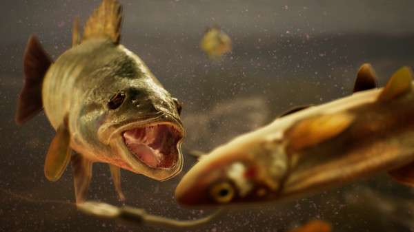 The Catch: Carp & Coarse anuncia su lanzamiento en PlayStation 4