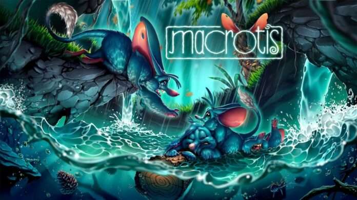 Macrotis A Mother´s Journey