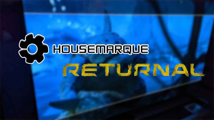 Housemarque nueva IP