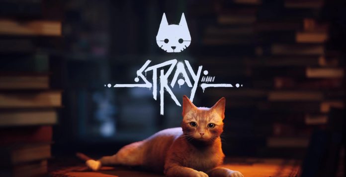 Stray requisitos PC