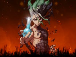 Dr. Stone