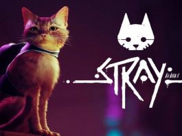 Stray Game Pass