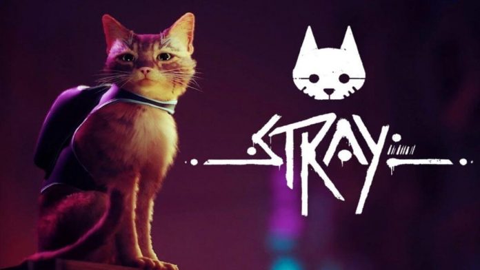 Stray Game Pass