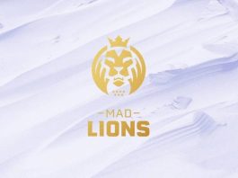 MAD Lions