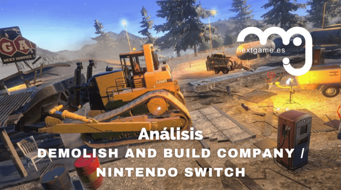 Demolish and Build Company análisis