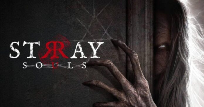 Trailer Stray Souls