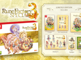 Rune Factory 3 Special físico