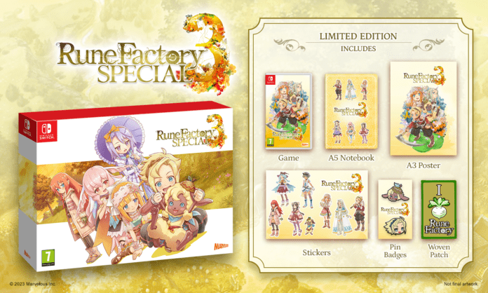 Rune Factory 3 Special físico