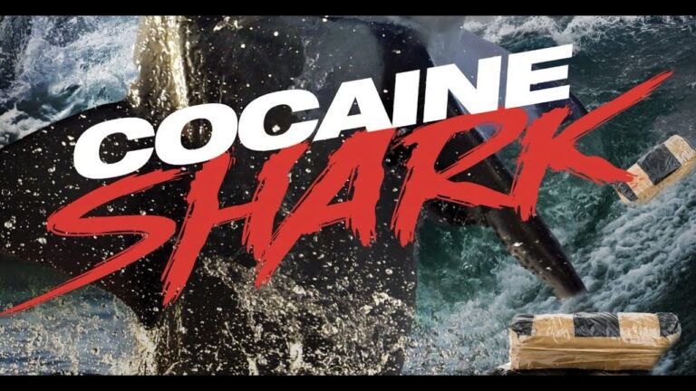 Cocaine Shark