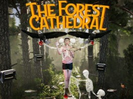 The Forest Cathedral