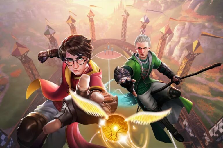 Campeones de Quidditch