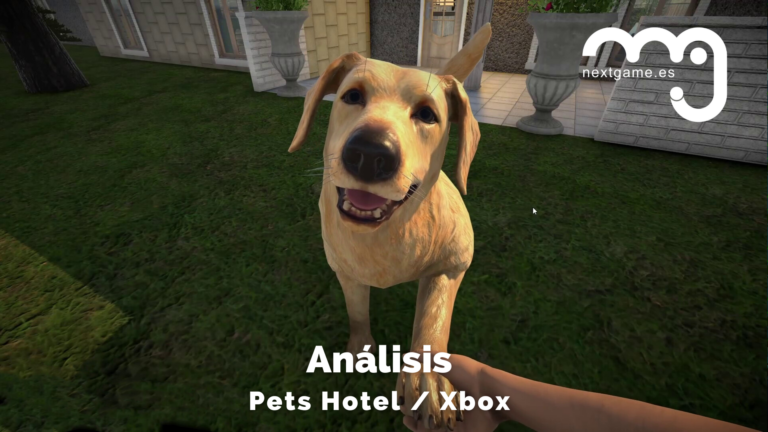 Análisis de Pets Hotel: un refugio virtual para animales que no termina de encontrar su camino