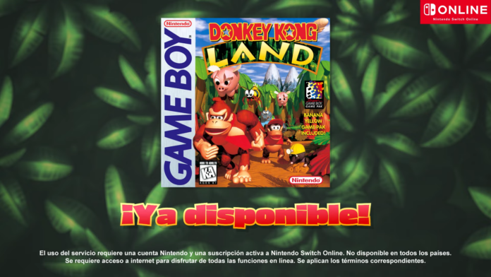 NSO Donkey Kong Land