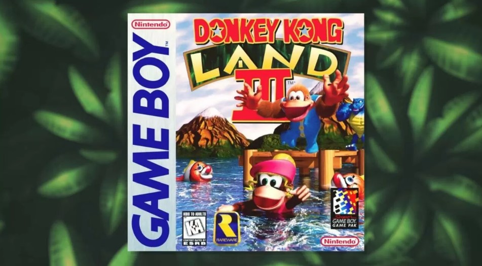 donkey kong land 3 switch